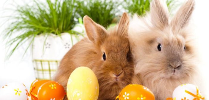 Konkurs „Atrybuty Wielkanocne”