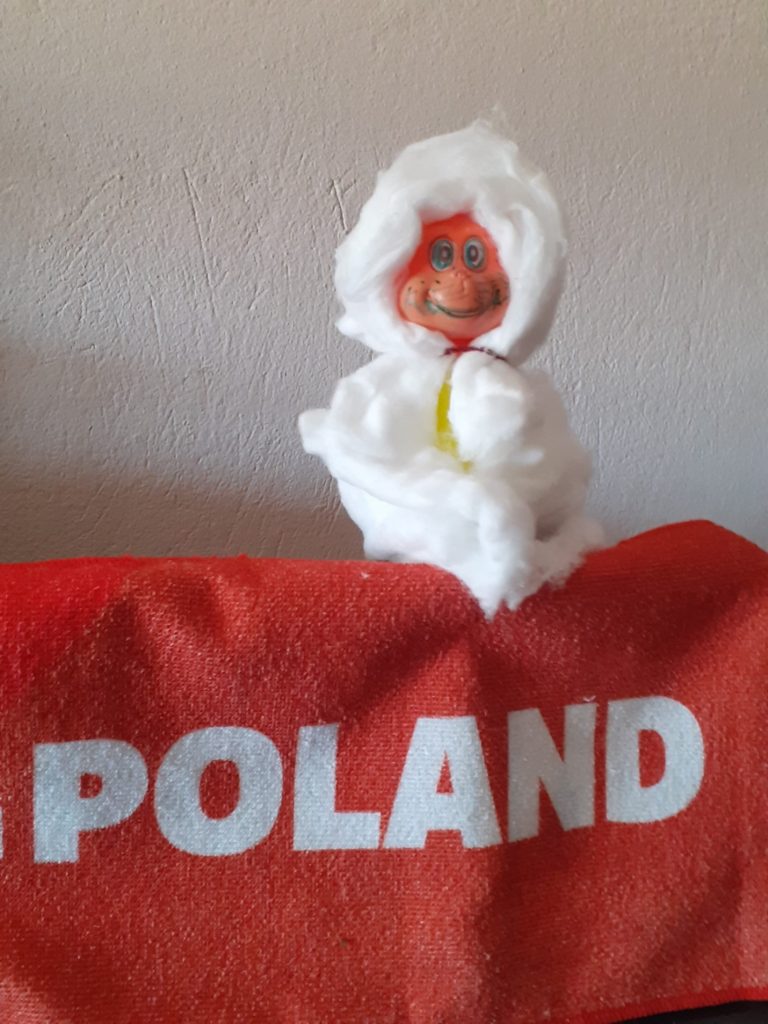 Projekt edukacyjny „A to polski język właśnie”